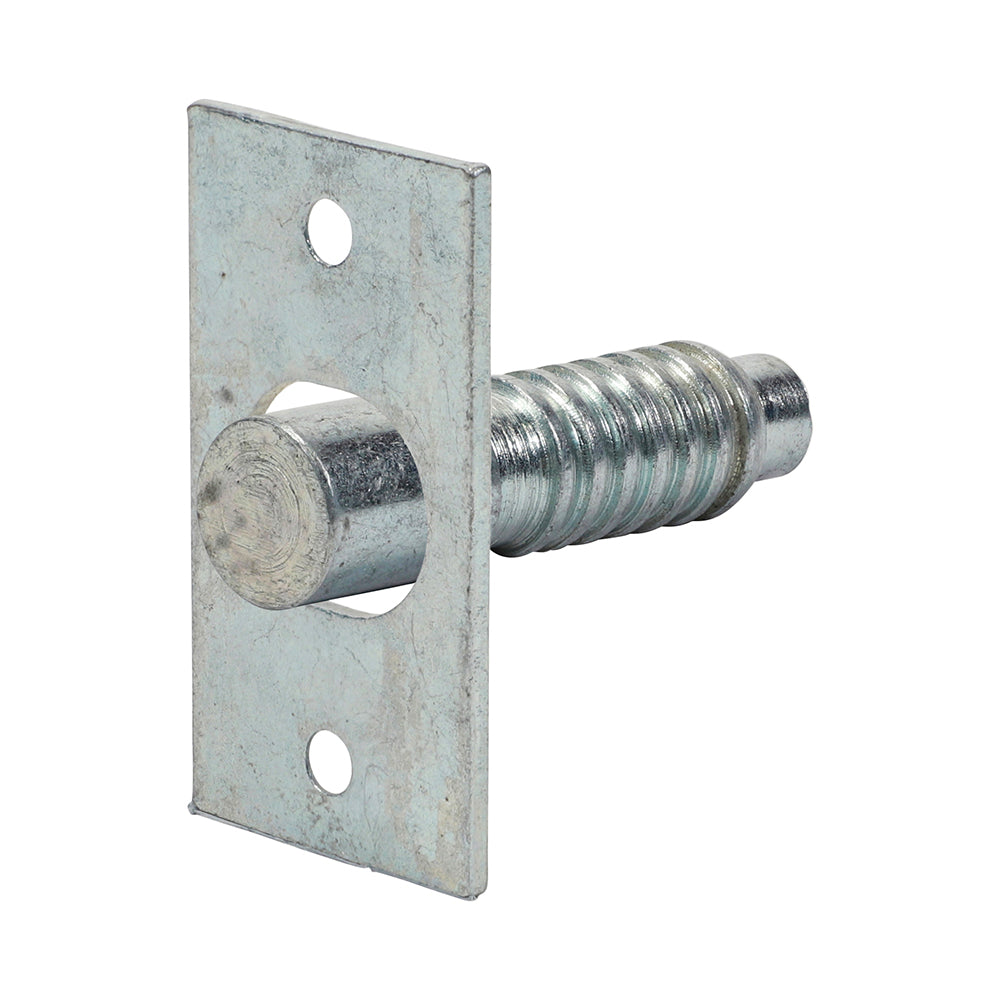 Hinge Bolts - Zinc